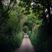 countryside lane